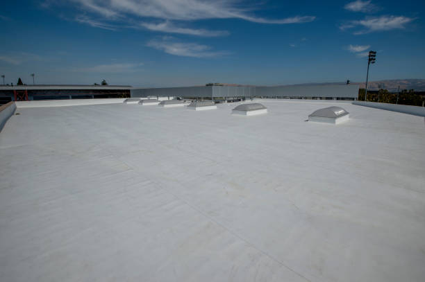 Best Roof Maintenance and Cleaning  in Macdonnell Heights, NY