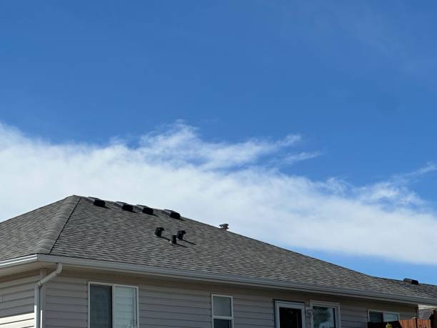 Best Chimney Flashing Repair  in Macdonnell Heights, NY